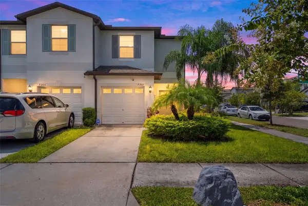 7201 Sweet Alyssum Ct Court, TAMPA, FL 33619