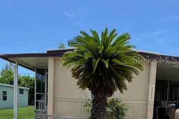 3203 Birkdale Drive, Holiday, FL 34690 - #2