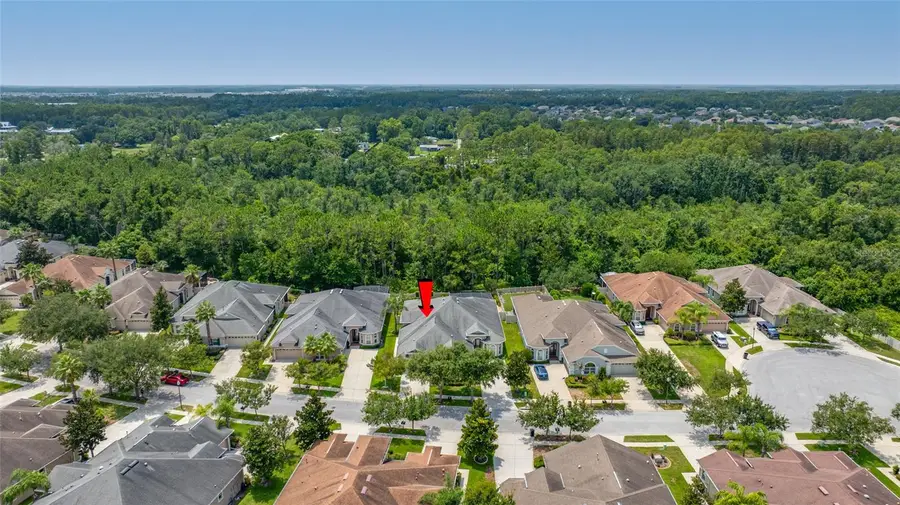 2923 Devonoak Boulevard, Land O Lakes, FL 34638 - #2