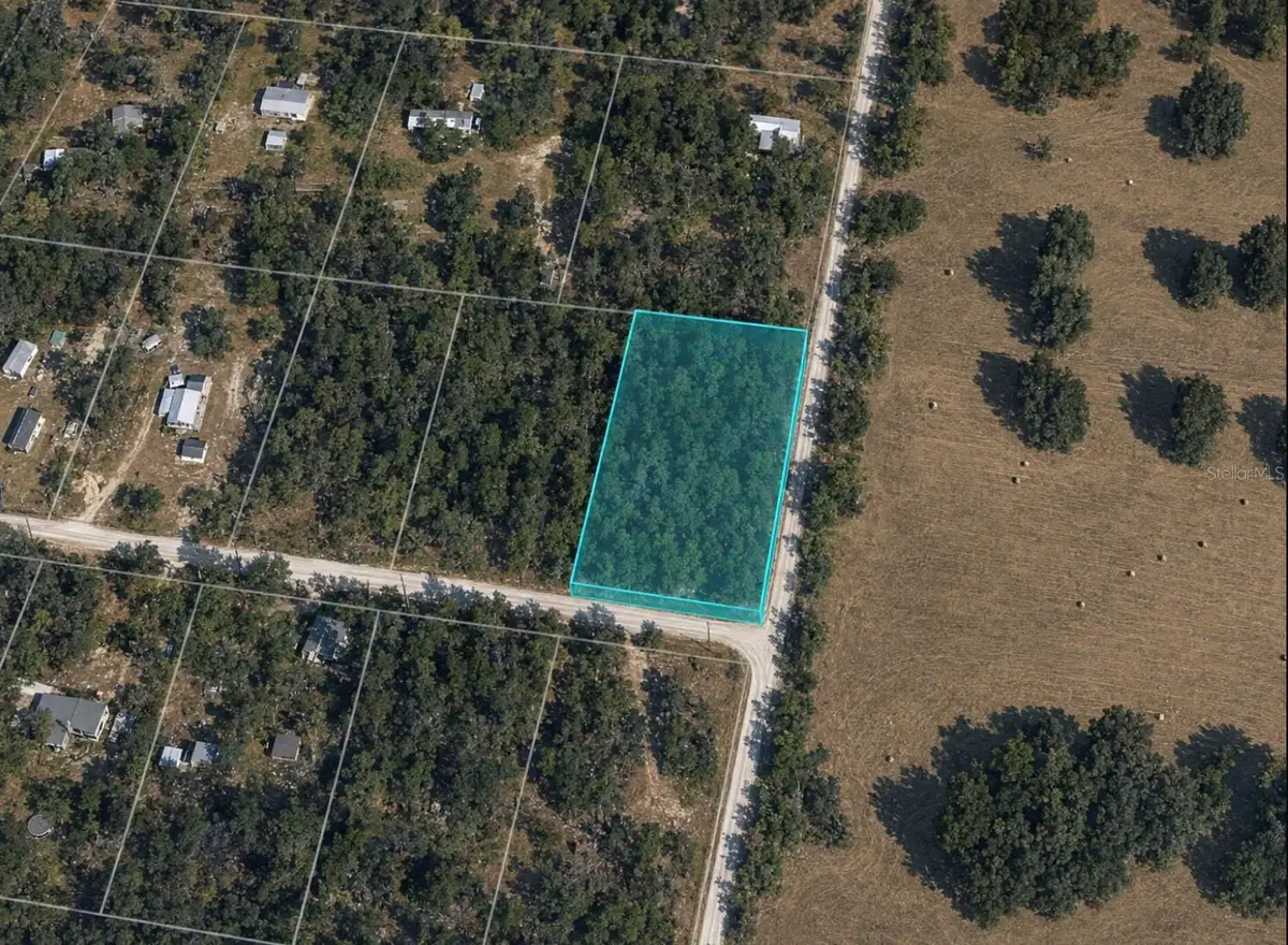 Unassigned SE 67th Place, Morriston, FL 32668 - #1