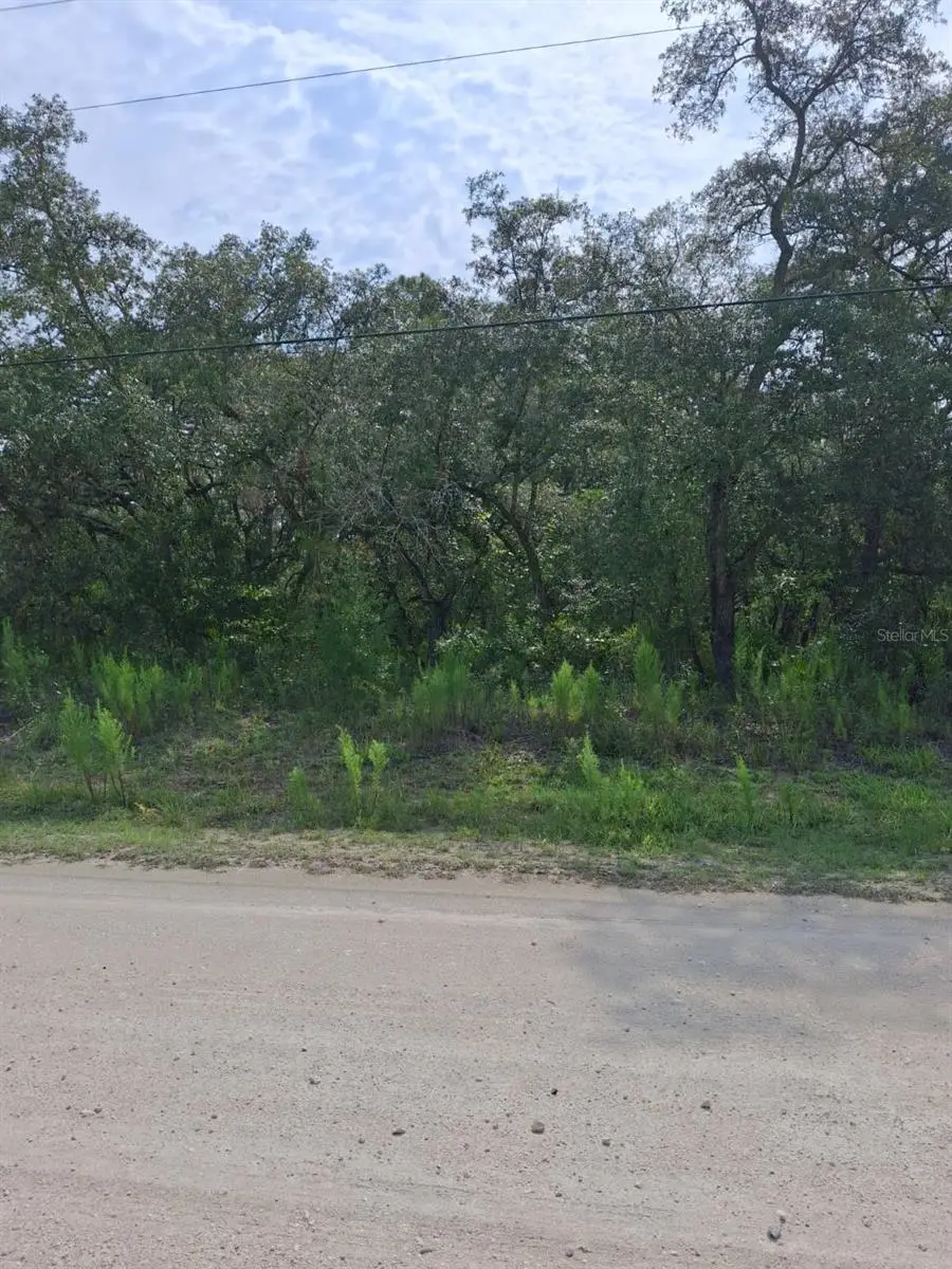 18364 Parakeet Road, Weeki Wachee, FL 34614 - #1