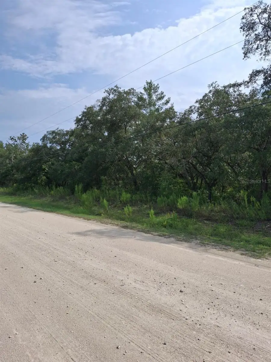 18364 Parakeet Road, Weeki Wachee, FL 34614 - #3