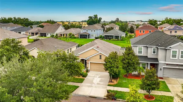 10445 Flagstaff Falls Avenue, RIVERVIEW, FL 33578