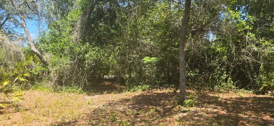 NE 236th Court, Lake Kerr, FL 32134 - #2