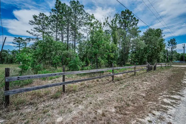 12132 Frankwood Road, WEEKI WACHEE, FL 34614