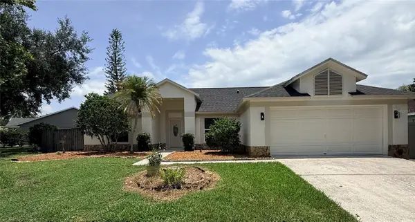 9207 Mill Circle, TAMPA, FL 33647