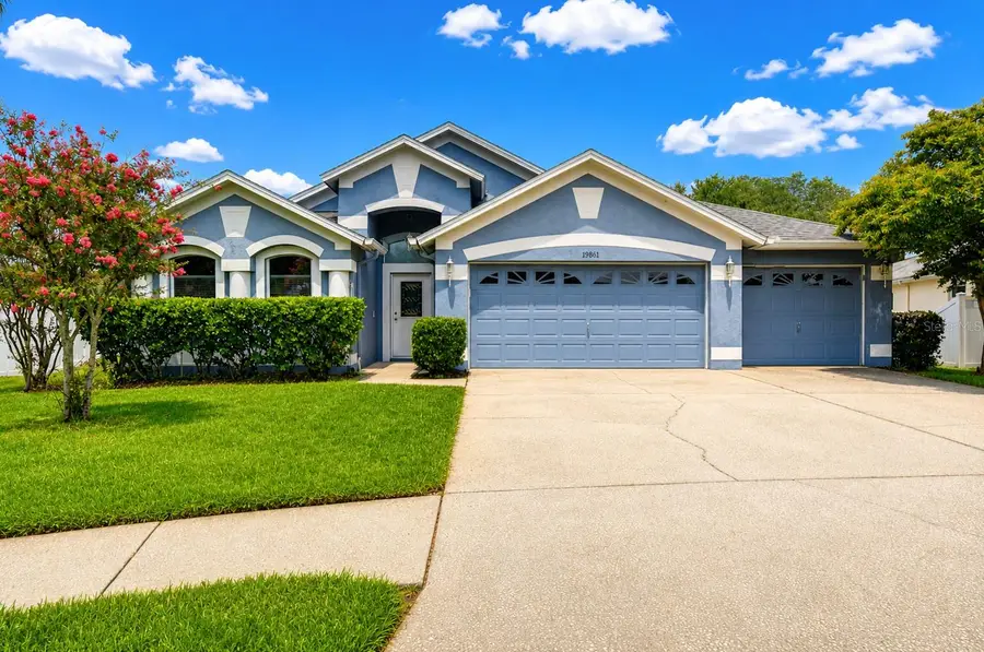 19851 Ellendale Drive, Land O Lakes, FL 34638 - #2
