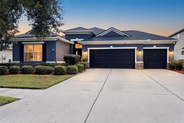 11105 Wembley Landing Drive, LITHIA, FL 33547