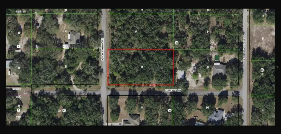 8621 N Blackthorn Avenue, Crystal River, FL 34428 - #2