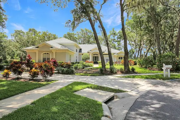 6034 Hammock Hill Avenue, LITHIA, FL 33547
