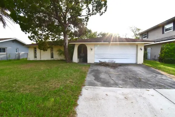 704 Lemonwood Drive, OLDSMAR, FL 34677