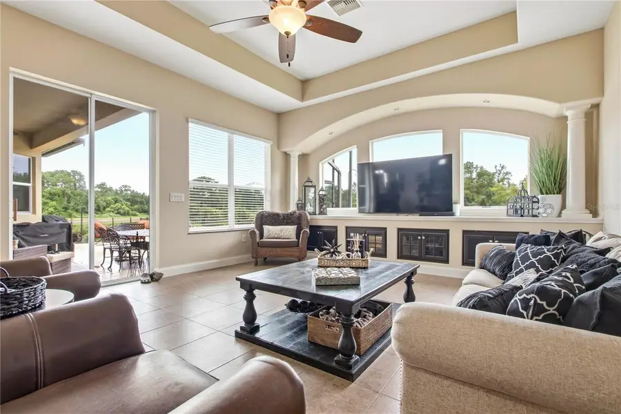3431 Diamond Falls Circle, Land O Lakes, FL 34638 - #3