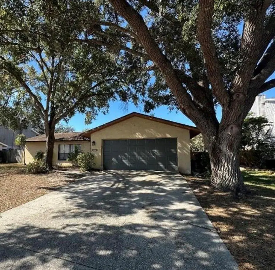 4305 Ellenville Place, Valrico, FL 33596 - #1