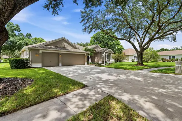 13756 Dowling Lane, ODESSA, FL 33556