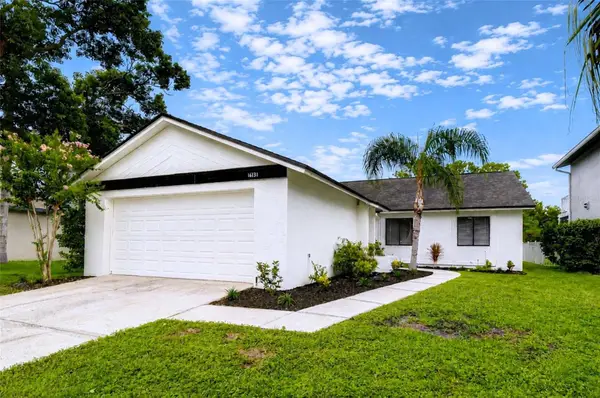 16131 Gardendale Drive, TAMPA, FL 33624