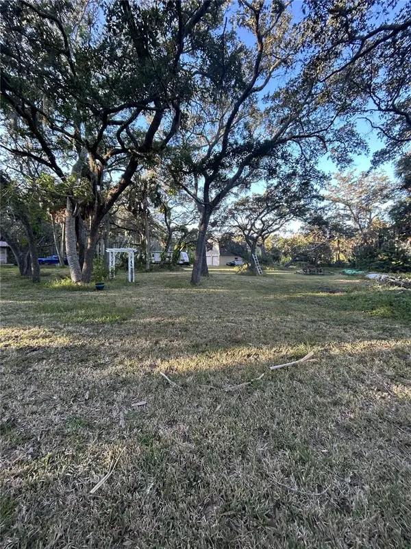 14428 Guava Street, HUDSON, FL 34667