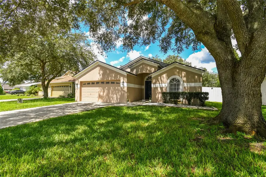 24541 Laurel Ridge Drive, Lutz, FL 33559 - #2