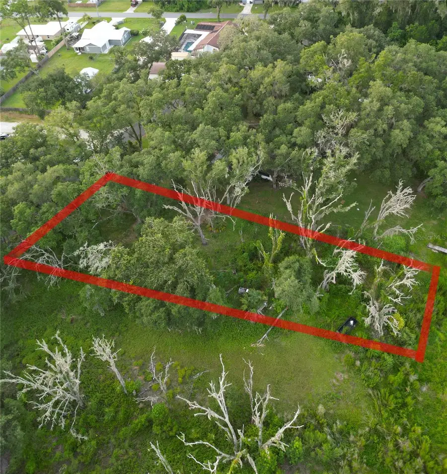 3352 E Lake Nina Drive, Inverness, FL 34453 - #3