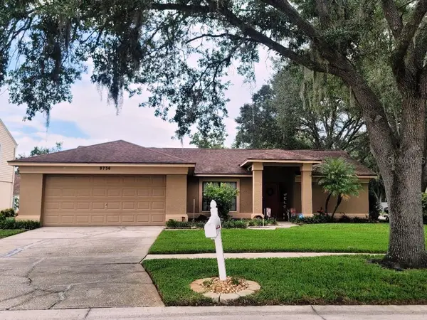 9736 Cypress Shadow Avenue, TAMPA, FL 33647