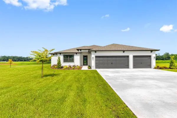 13483 Lake Gallagher Drive, DOVER, FL 33527