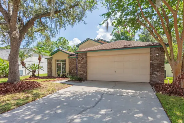 1248 Starry Night Street, WESLEY CHAPEL, FL 33543