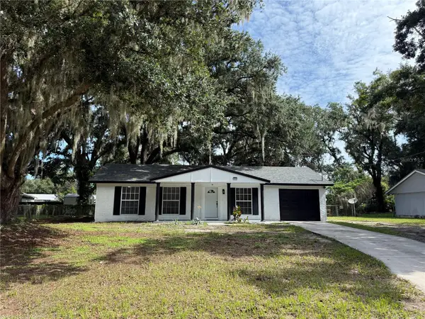 3008 Oakview Lane, PLANT CITY, FL 33566