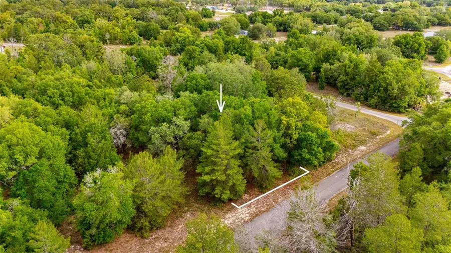 15 Magnolia Drive, Ocklawaha, FL 32179 - #3