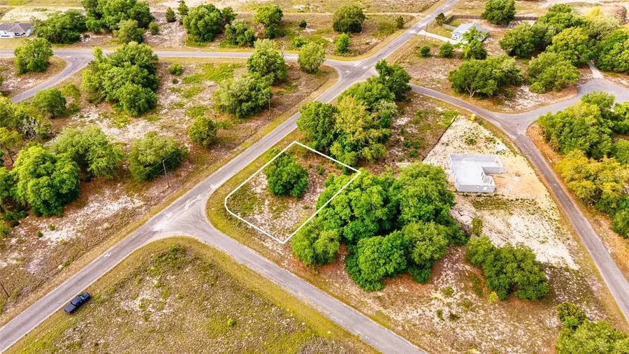 39 Guava Track, Ocklawaha, FL 32179 - #2