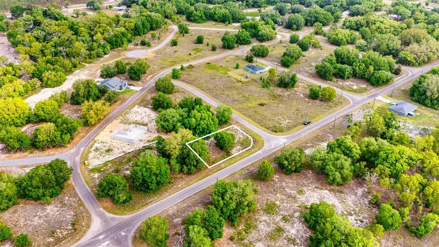 39 Guava Track, Ocklawaha, FL 32179 - #3