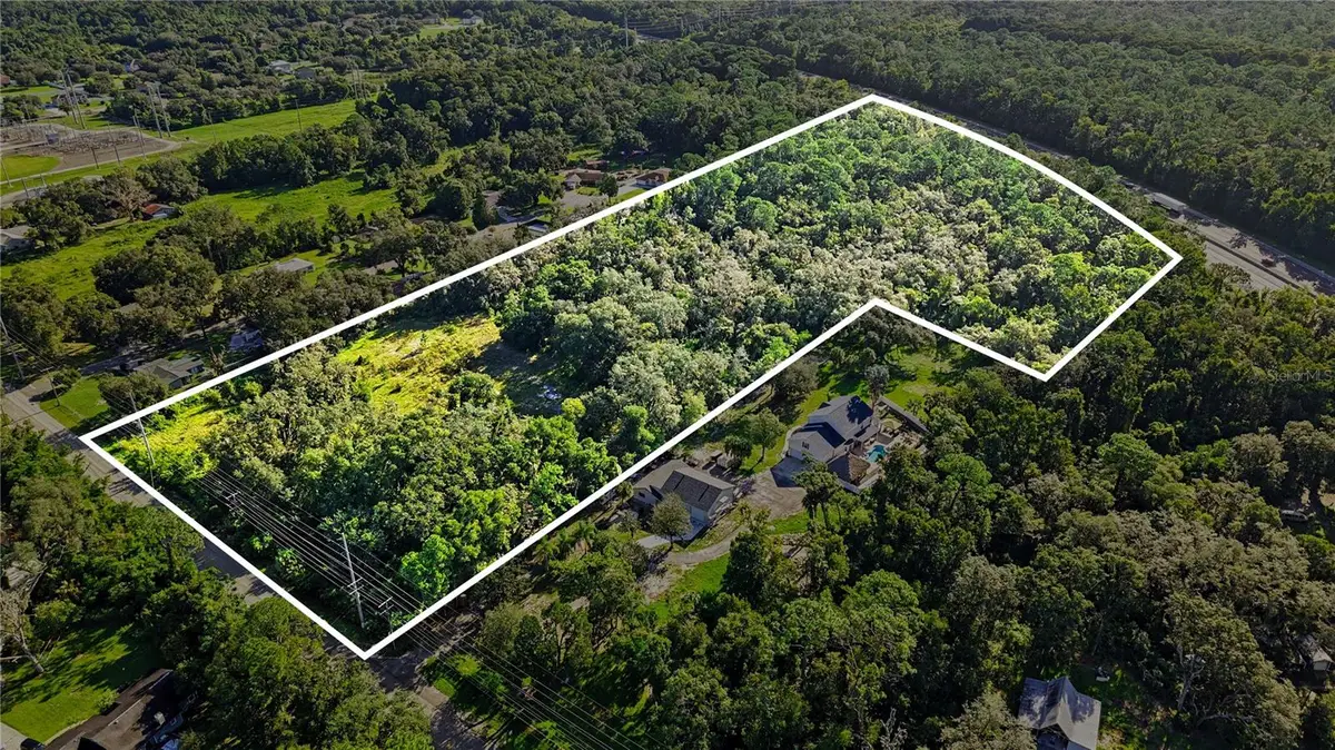 Livingston Ave, Lutz, FL 33559 - #1