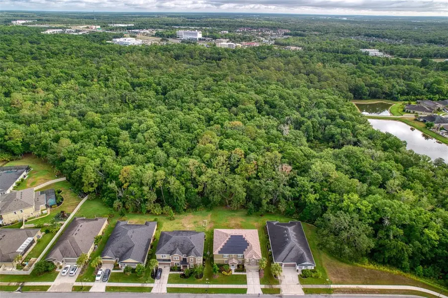 26888 Fiddlewood Loop, Wesley Chapel, FL 33544 - #3
