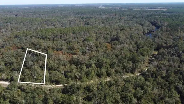 Ne Chervil Drive, LEE, FL 32059