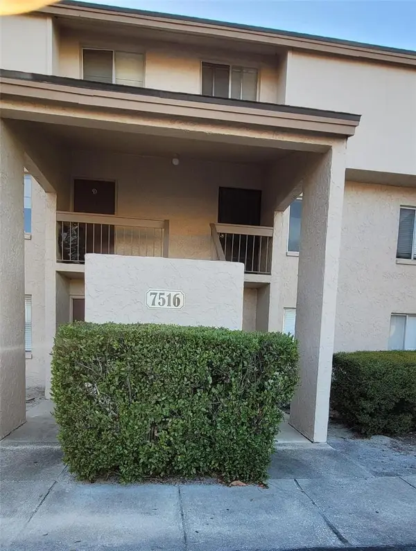 7516 Needle Leaf Place #43, TAMPA, FL 33617