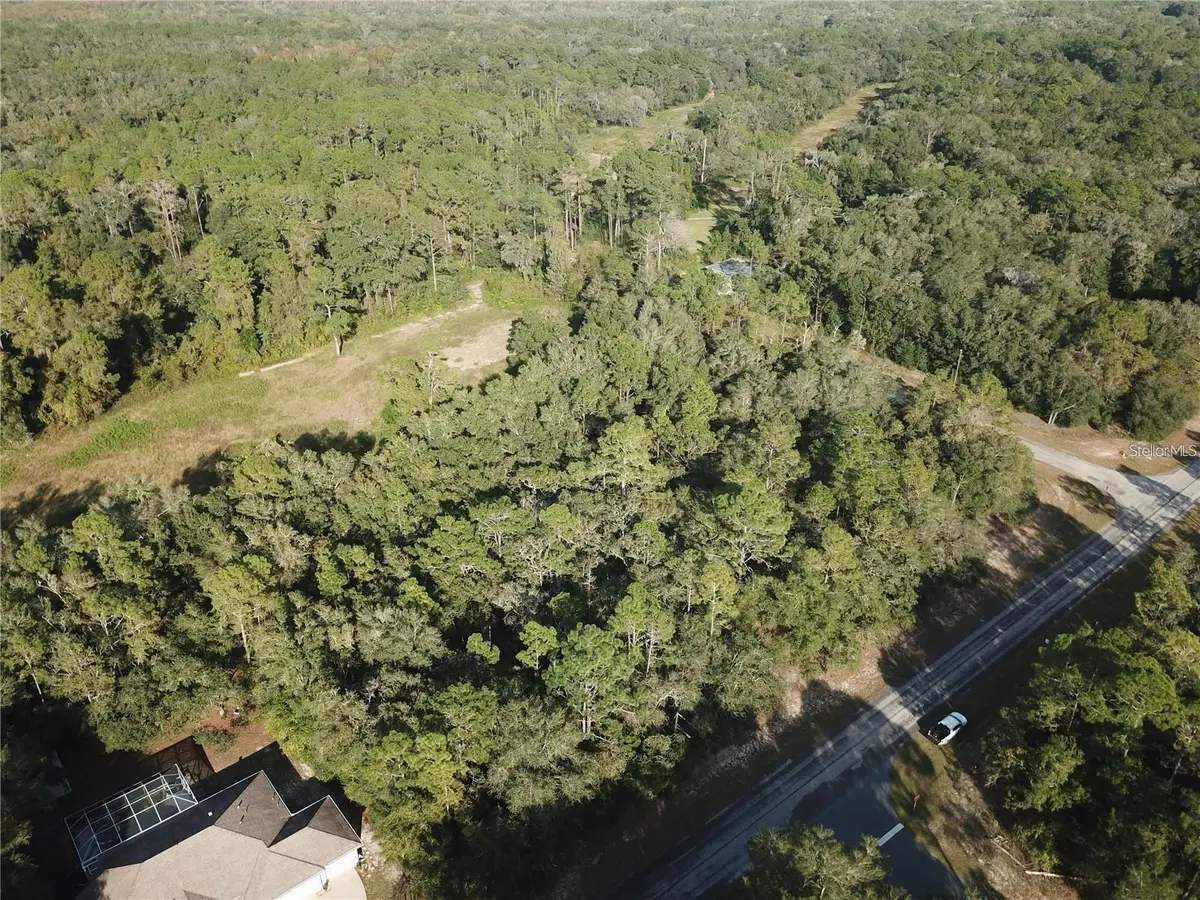 10265 N Athenia Drive, Citrus Springs, FL 34434 - #1