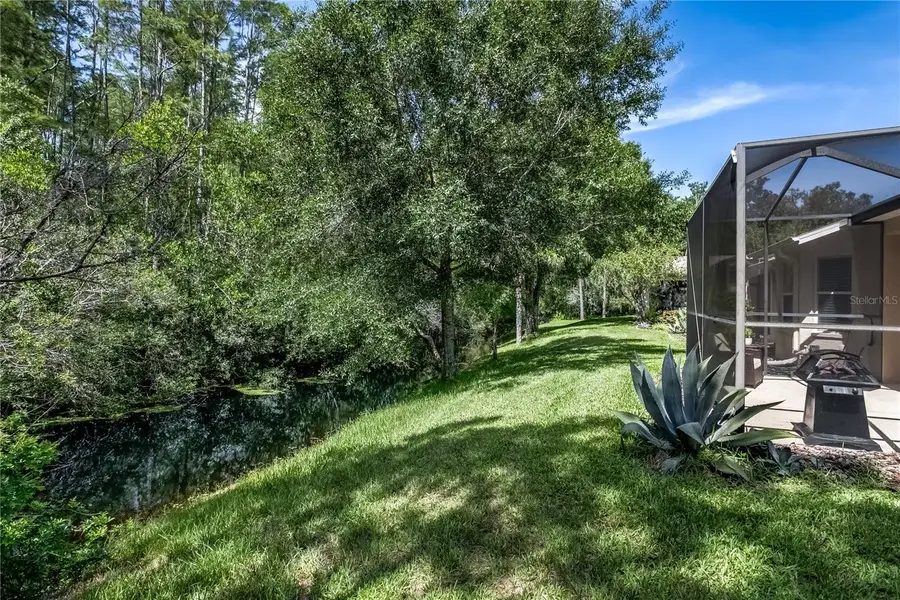 7235 Cleopatra Drive, Land O Lakes, FL 34637 - #2