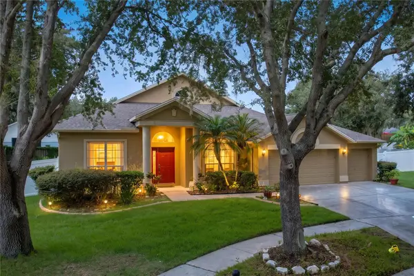 1124 Split Silk Street, VALRICO, FL 33594