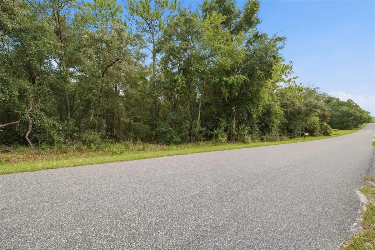 1295 E Ray Street, Hernando, FL 34442 - #1