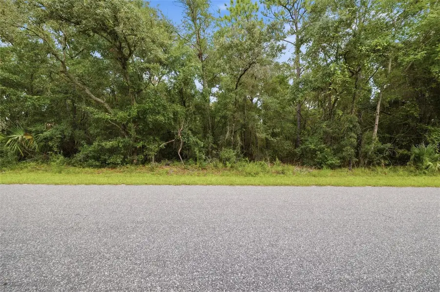 1295 E Ray Street, Hernando, FL 34442 - #3