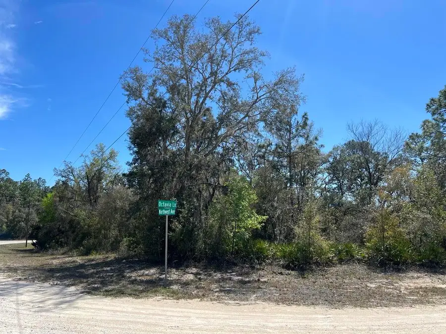 0 Northwest Avenue #Lot 32, Webster, FL 33597 - #2