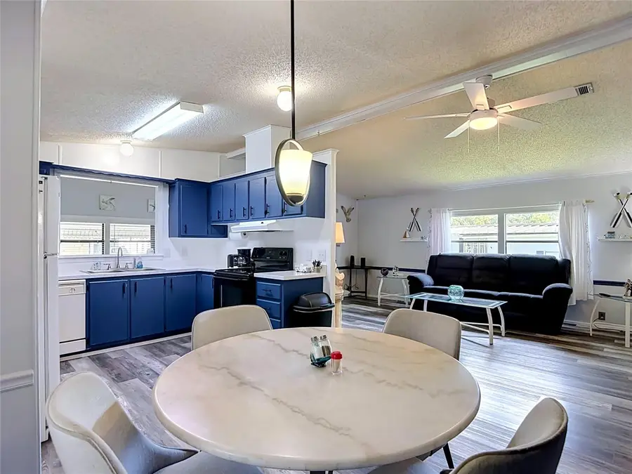 4616 Olive Drive, Zephyrhills, FL 33542 - #3