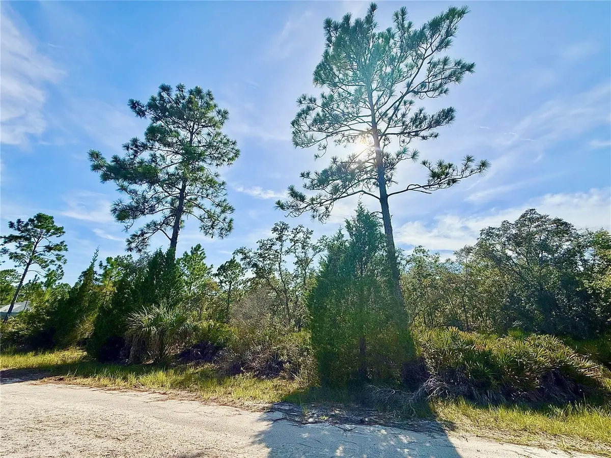 Rydal Road, Weeki Wachee, FL 34614 - #1