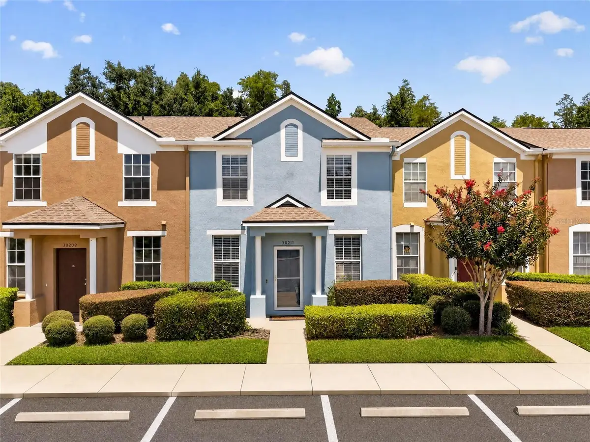 30211 Swinford Lane, Wesley Chapel, FL 33543 - #1
