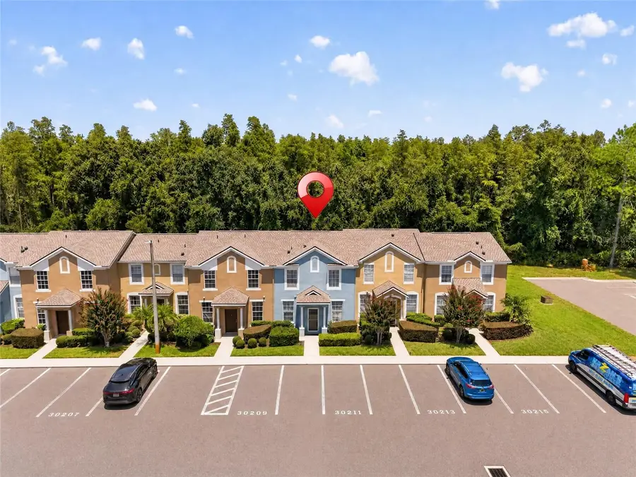 30211 Swinford Lane, Wesley Chapel, FL 33543 - #2