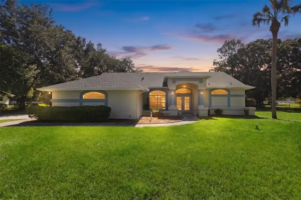 17269 Raintree Road, LUTZ, FL 33558