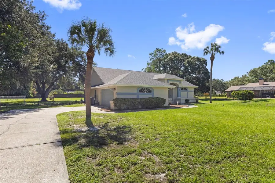 17269 Raintree Road, Lutz, FL 33558 - #3