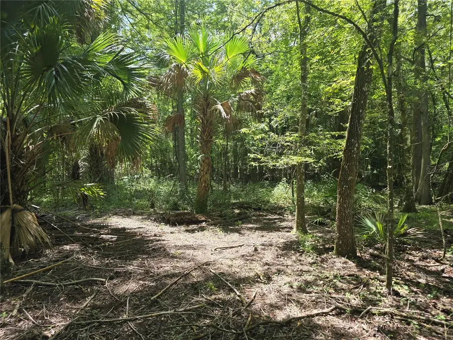 7521 S Clay Terrace, Floral City, FL 34436 - #2
