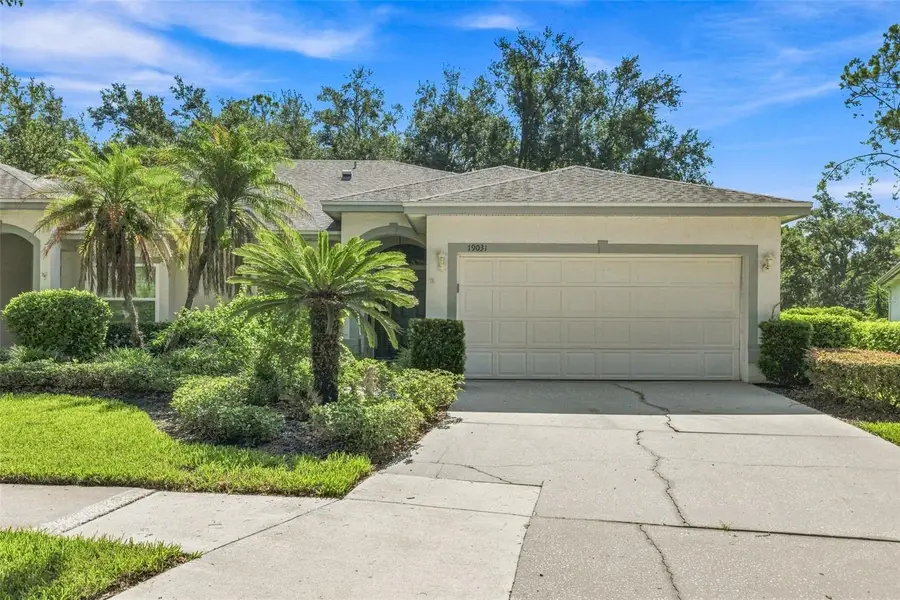 19031 Callaway Court, Tampa, FL 33647 - #2