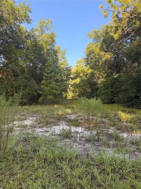 115 Orange Tree Court, MELROSE, FL 32666