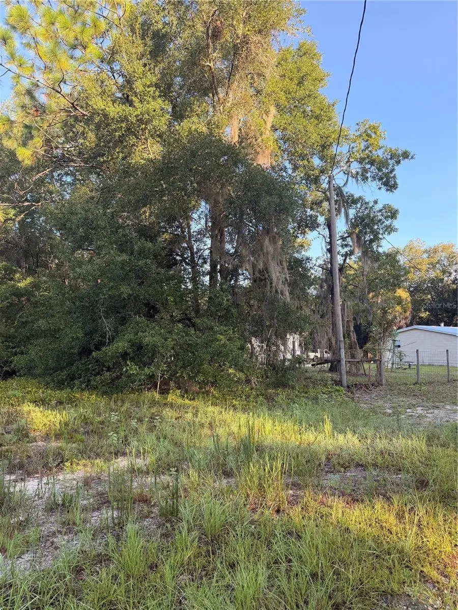 115 Orange Tree Court, Melrose, FL 32666 - #2