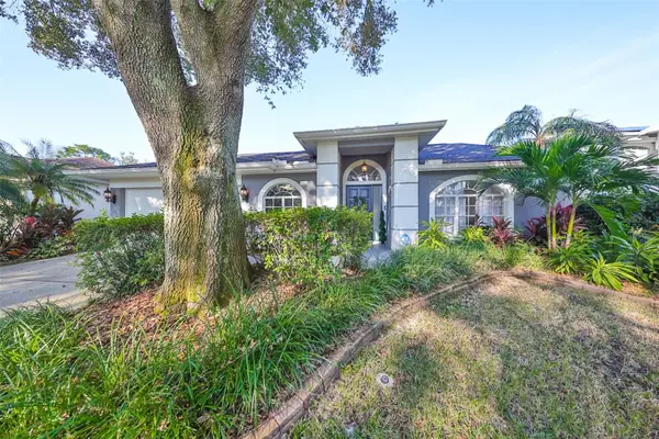 9309 Hampshire Park Drive, TAMPA, FL 33647